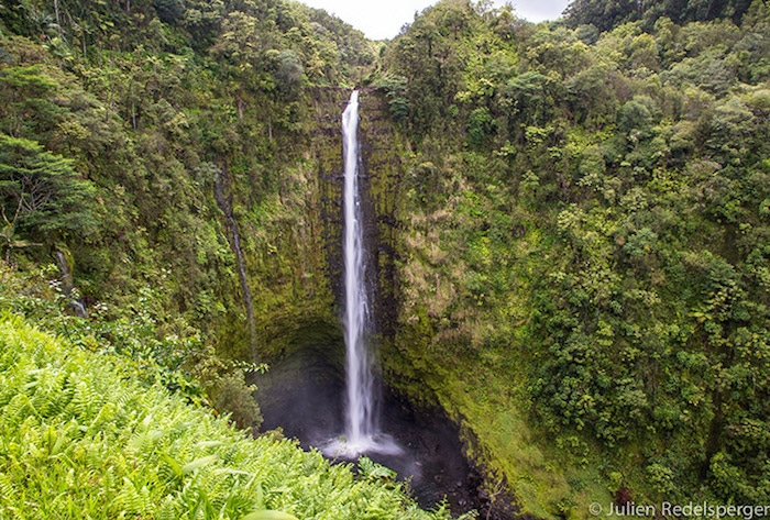 Akaka-Falls-State-Park-à-Hawaii
